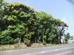 DSCF2289.jpg