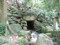 DSCF2447.jpg