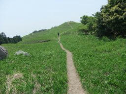 DSCF2485.jpg