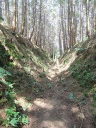DSCF2524.jpg