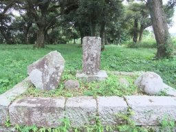 DSCF2820.jpg
