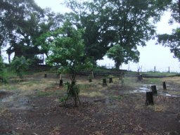 DSCF2841.jpg