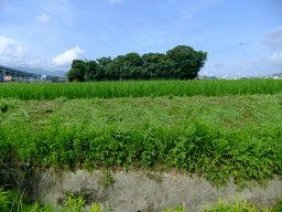 DSCF4015.jpg