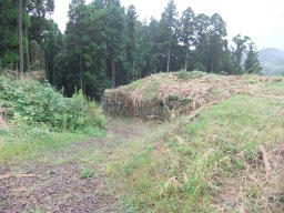 DSCF4982.jpg