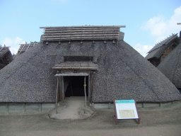 DSCF5117.jpg