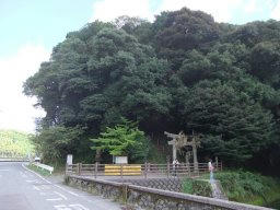 DSCF5161.jpg