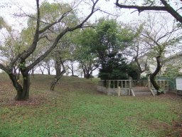 DSCF5182.jpg