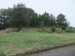 DSCF5238.jpg