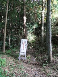 DSCF5547.jpg
