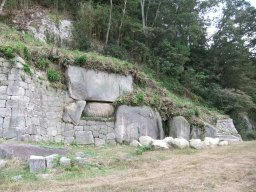 DSCF5575.jpg