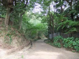 DSCF5752.jpg