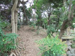 DSCF5858.jpg
