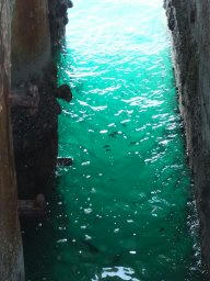 DSCF6030.jpg