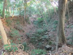 DSCF6054.jpg