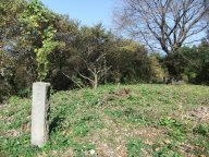 DSCF6161.jpg