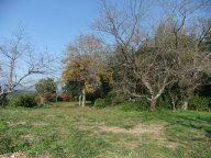DSCF6219.jpg
