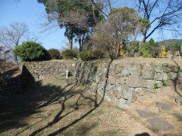 DSCF6439.jpg