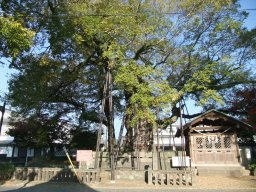 DSCF6422.jpg