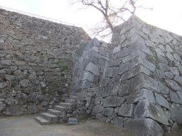 DSCF6598.jpg