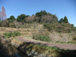 DSCF6636.jpg