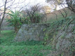 DSCF6704.jpg