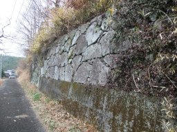 DSCF7146.jpg