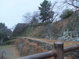 DSCF7213.jpg