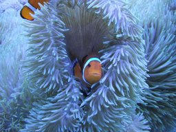 DSCF7271.jpg