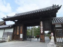 DSCF7388.jpg