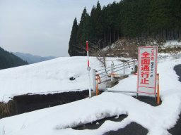 DSCF7697.jpg