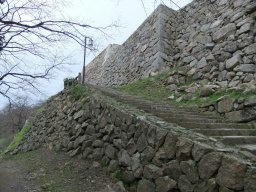 DSCF7715.jpg