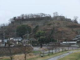 DSCF7952.jpg