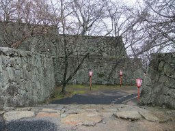 DSCF7847.jpg