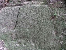 DSCF8083.jpg