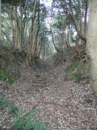 DSCF8135.jpg
