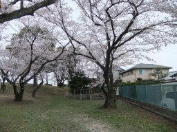 DSCF8163.jpg