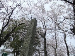 DSCF8169.jpg