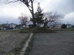 DSCF8269.jpg