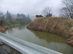 DSCF8284.jpg