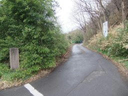 DSCF8414.jpg