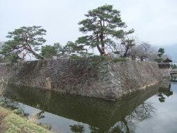 DSCF8459.jpg