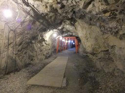 DSCF8516.jpg