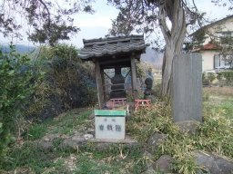 DSCF8584.jpg