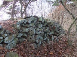 DSCF8703.jpg