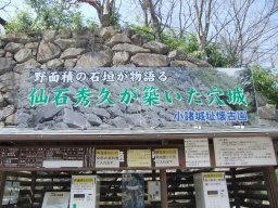DSCF8883.jpg