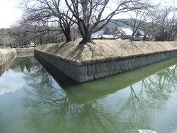 DSCF8894.jpg
