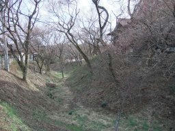 DSCF8929.jpg