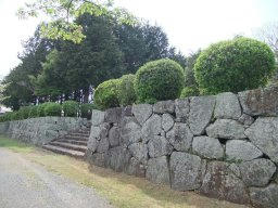 DSCF8964.jpg