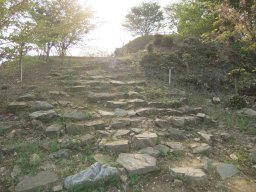 DSCF8985.jpg