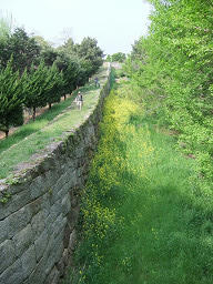 resize0065.jpg